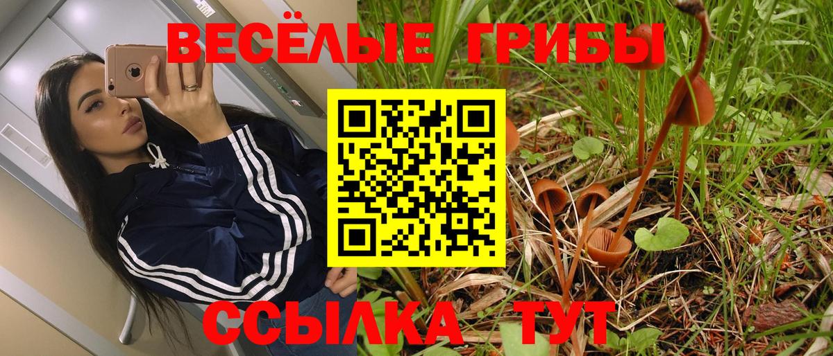 Алексеевка  Галлюциногенные грибы мицелий  Вход с VPN 