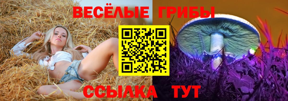 Псилоцибиновые грибы Psilocybine cubensis Алексеевка